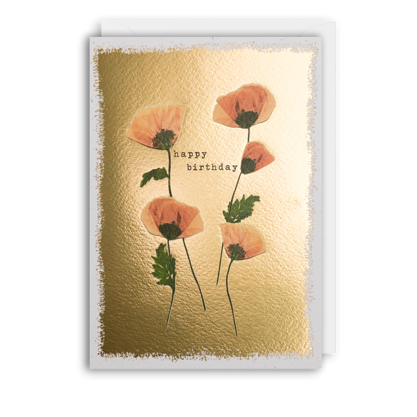 BIRTHDAY POPPIES Card