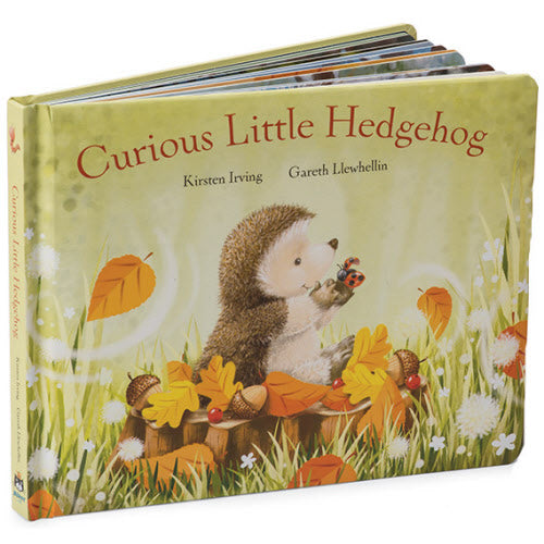 Curious Little Hedgehog